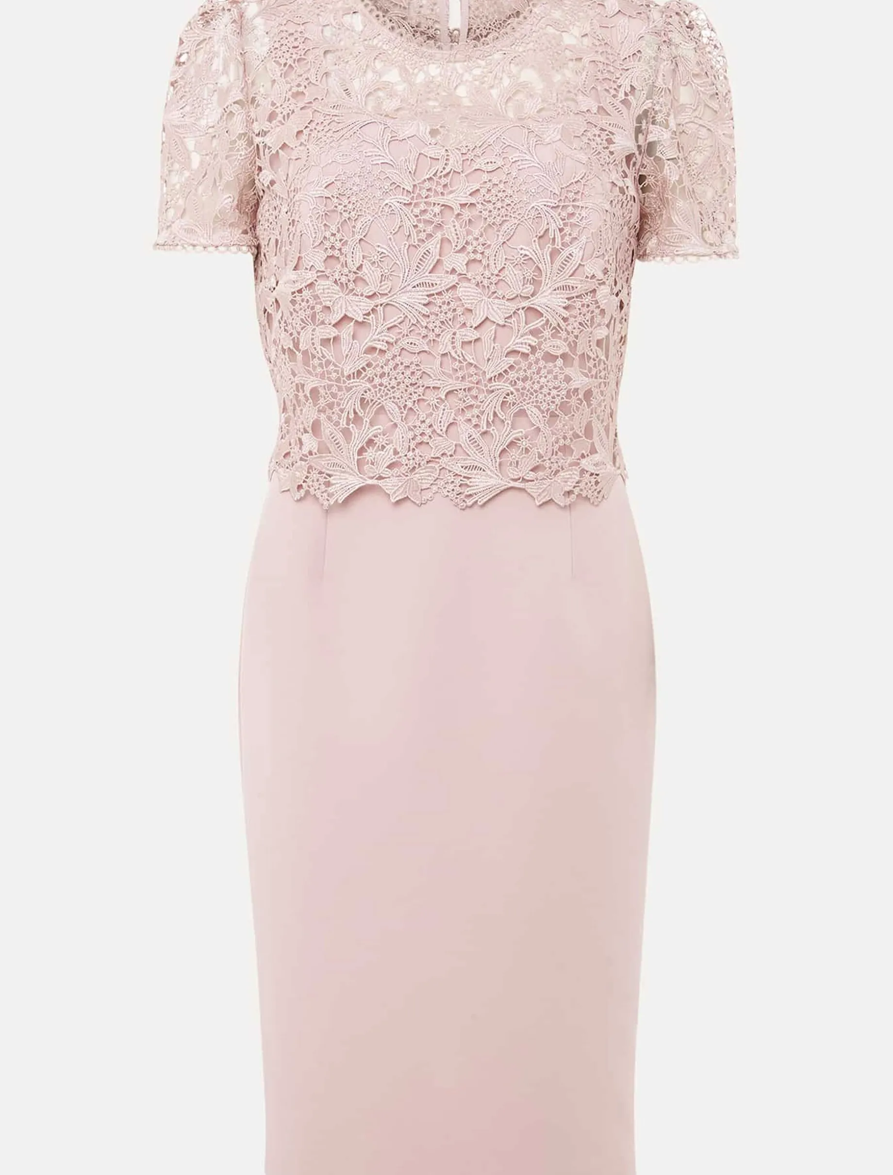 Dresses^Phase Eight Isabella Lace Midi Dress Antique Rose